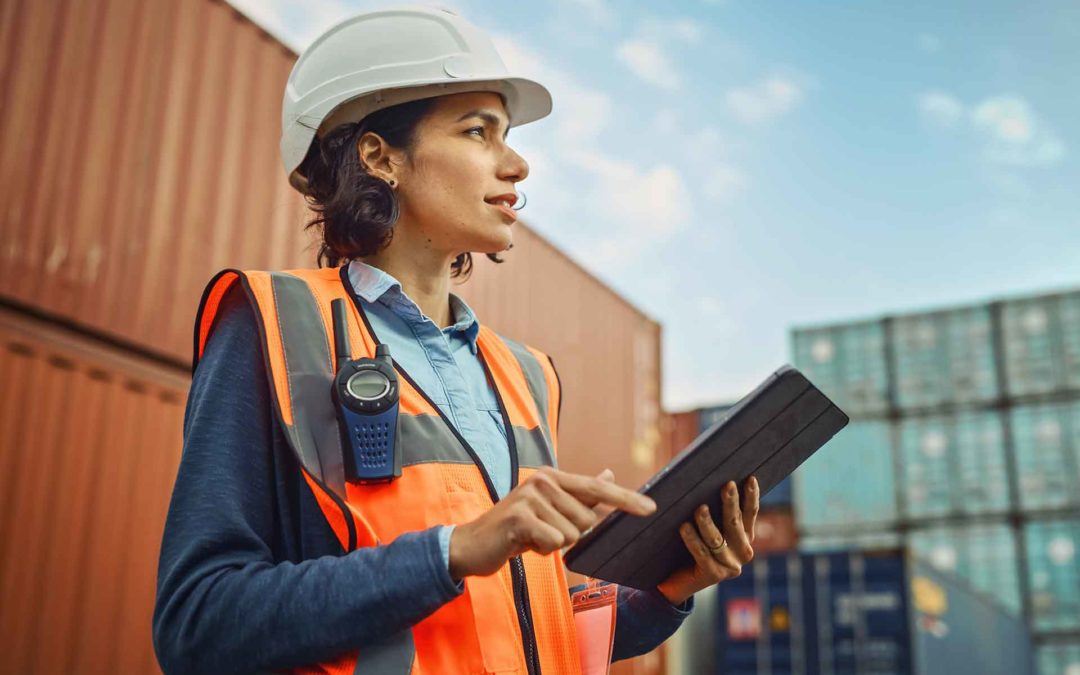 Asesoramiento Logístico